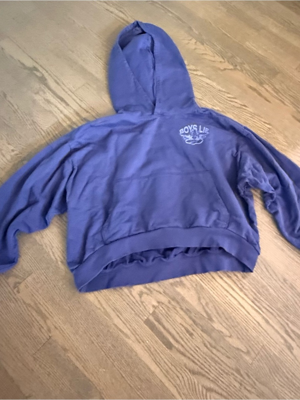 Boys Lie Purple Hooded Sweatshirt with front pocket. One size .